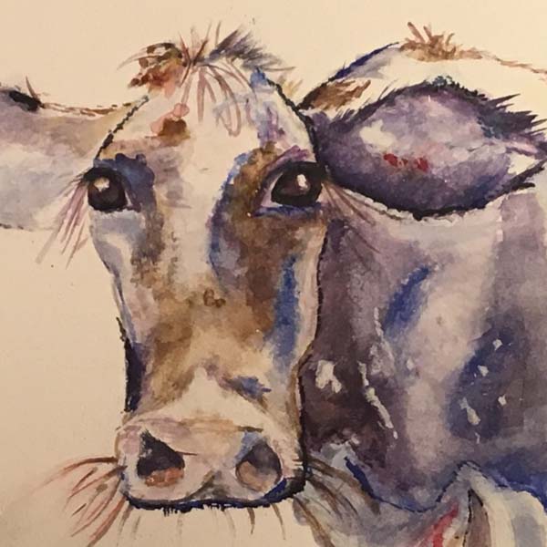 Water color painting cow